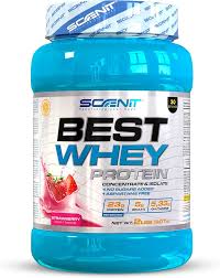 Batidos de Proteínas: Energía y Recuperación en Cada Sorbo