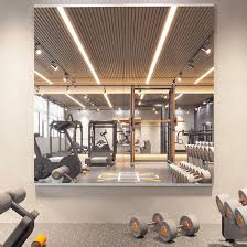 Pertetey Gimnasio: Tu Compañero Ideal para el Entrenamiento